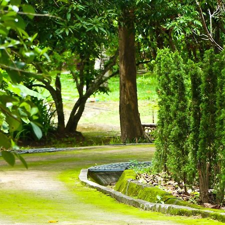 Golden Teak Homestay Mae Rim Esterno foto