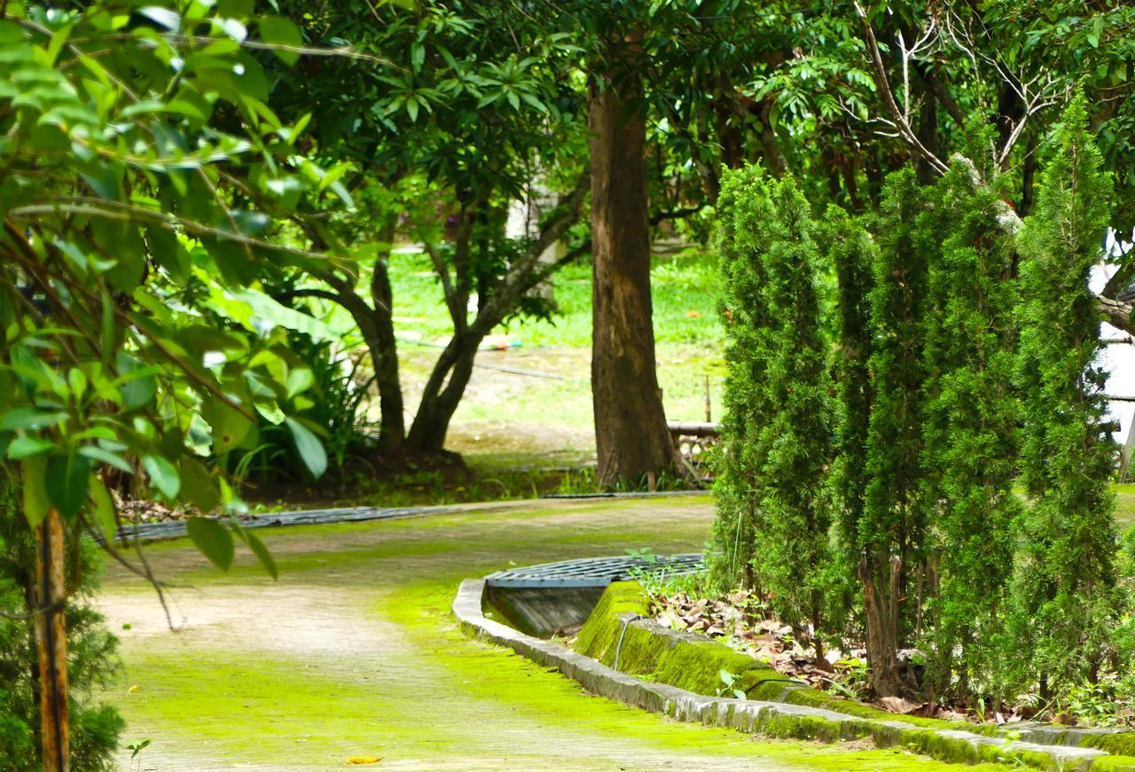 Golden Teak Homestay Mae Rim Esterno foto